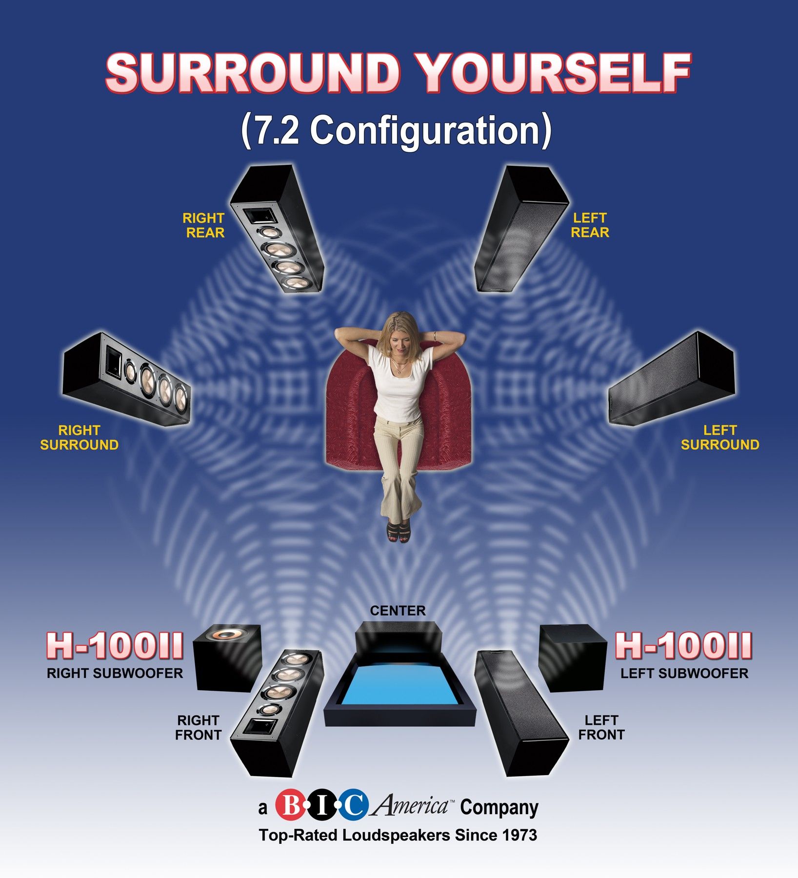Acoustech H-100II, view 6