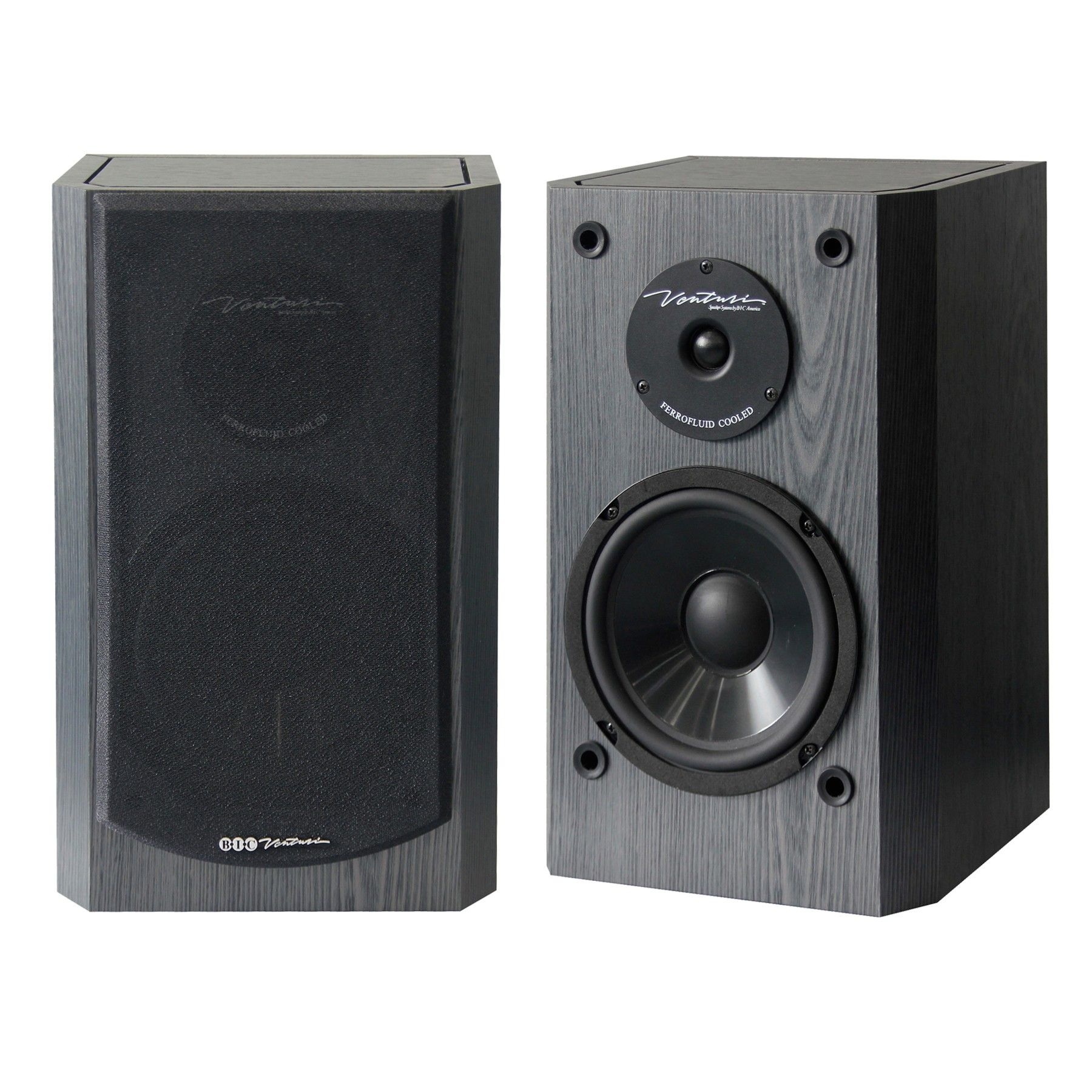 Venturi 5.1 DV62si-10 System, view 2